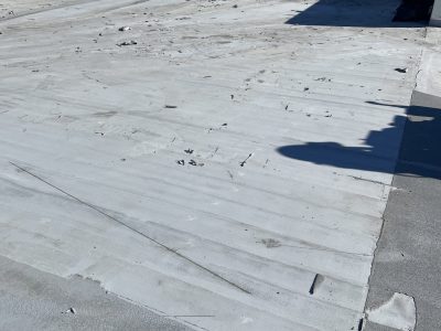 IMG_1350(1) IMG_1350(1)