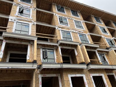 IMG_6638(1) IMG_6638(1)